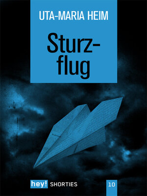 cover image of Sturzflug